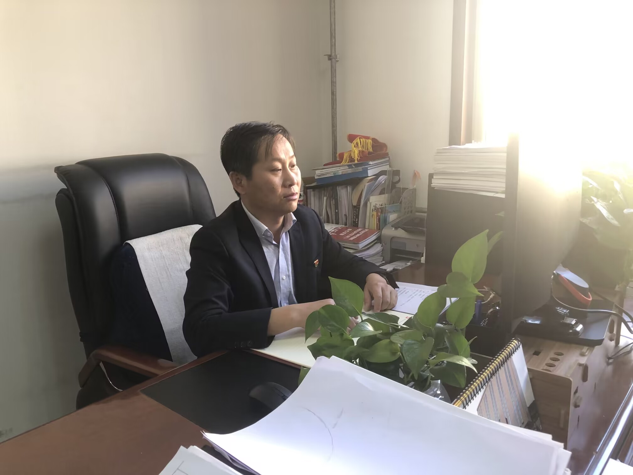 221669115937900603.jpeg 楊帆工作照.png