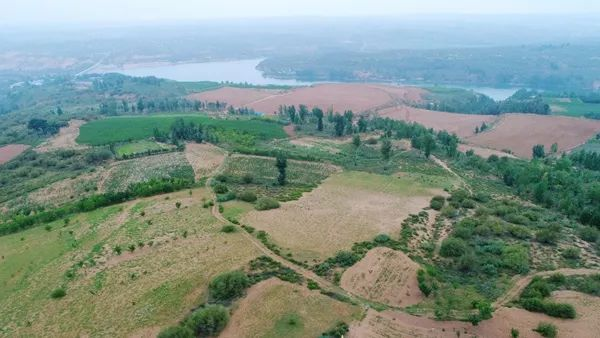 161692181195641051.png 圖片1.png