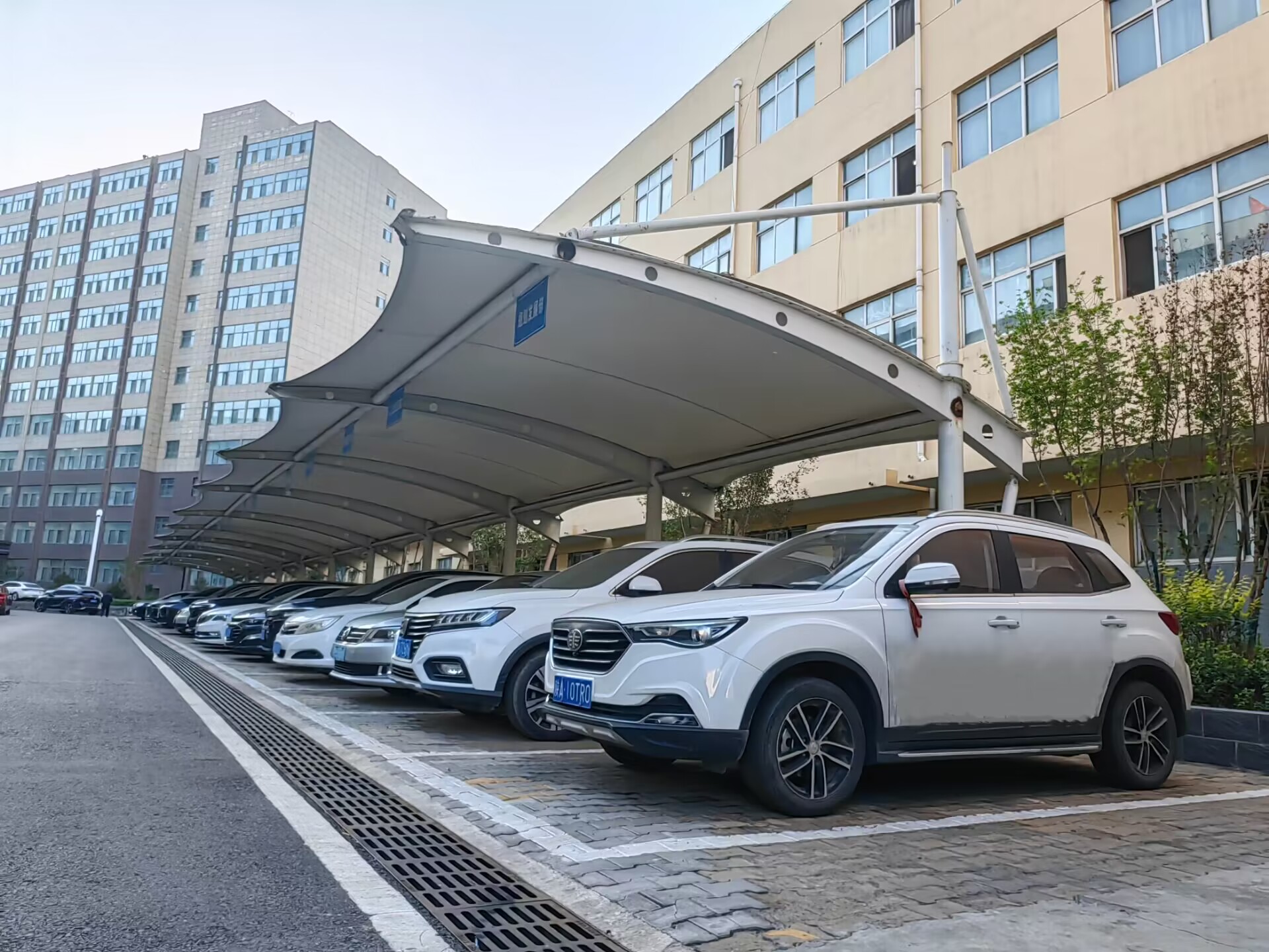 311698742182783318.jpeg 141694655160650922.jpeg