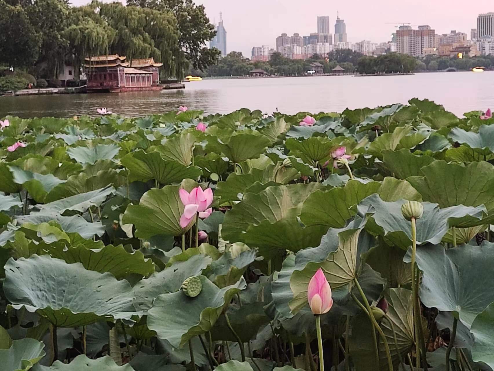 041701658602710678.jpeg 微信圖片_20230821172918.jpg