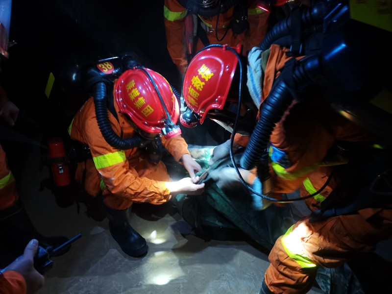 151710486598939189.jpeg IMG_20211208_092316.jpg