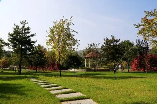 241711268821204462.jpeg u=3851258074,308349925&fm=253&fmt=auto&app=138&f=JPEG.webp.jpg