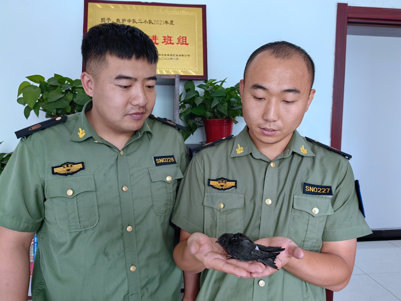 281719565429906941.jpeg IMG_20240628_112534.jpg