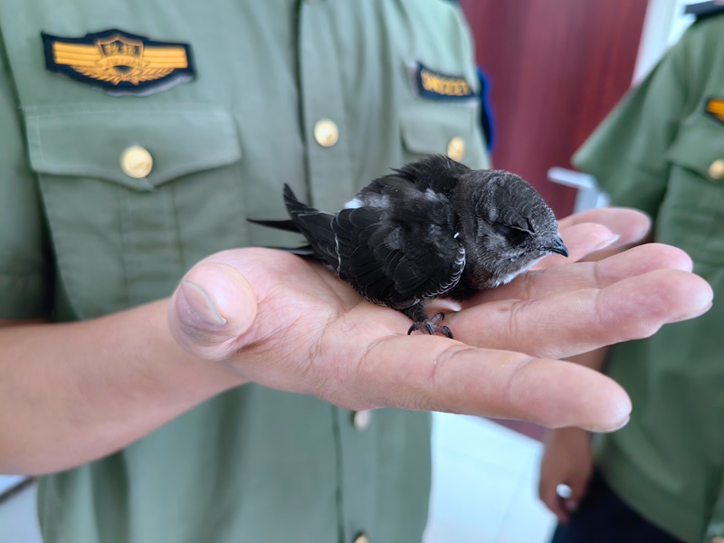 281719565444428115.jpeg IMG_20240628_112717.jpg