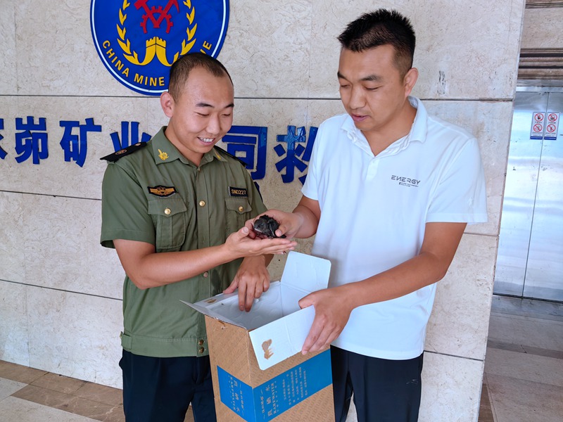 281719565707500353.jpeg IMG_20240628_150645.jpg