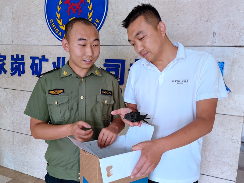 281719565723350119.jpeg IMG_20240628_150649.jpg