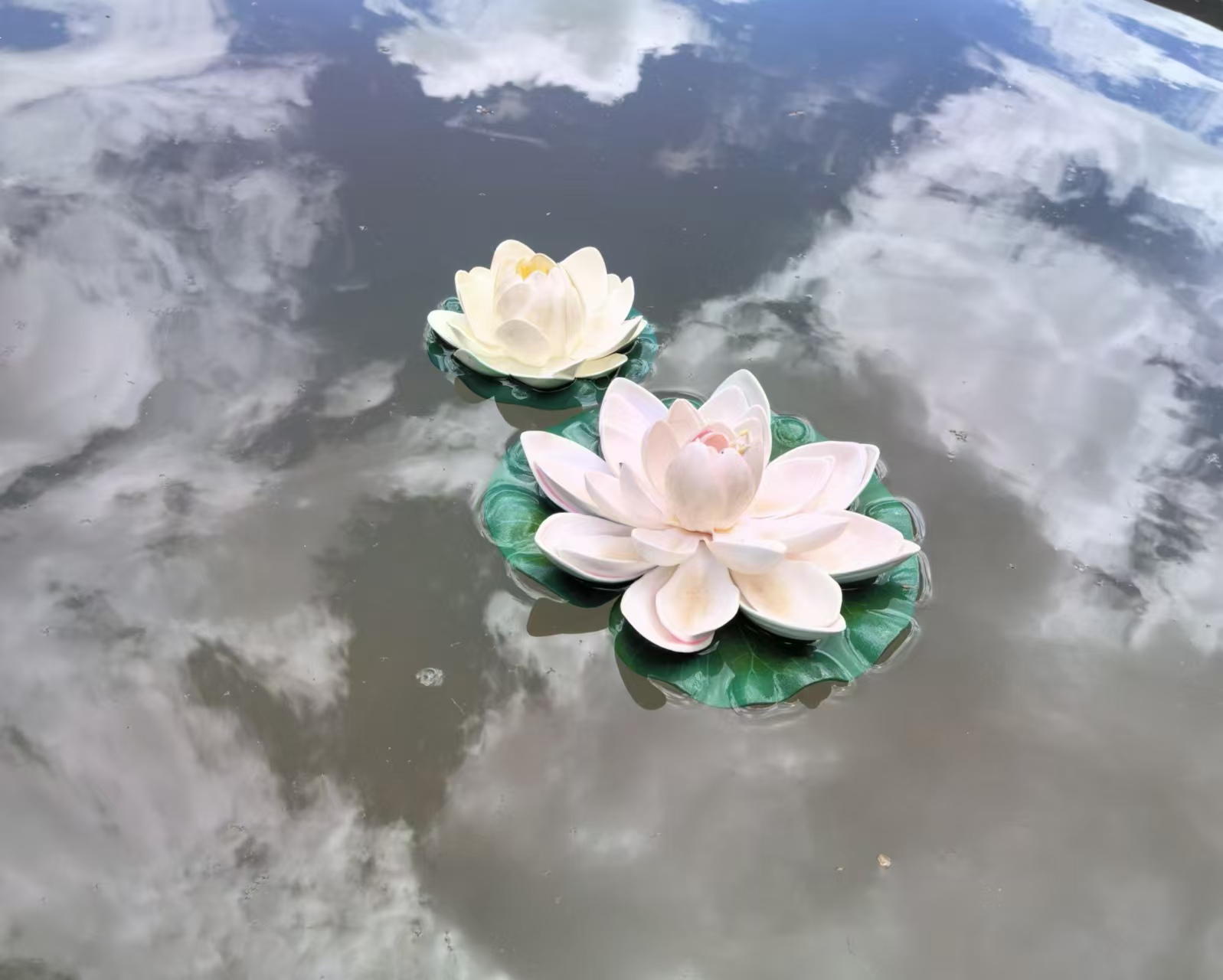 云襯清蓮.jpg