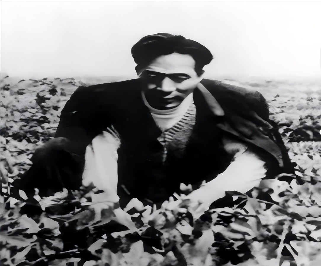 231727085770689562.jpeg d8e7846b8752da5ea89efcfa9058a428.jpg