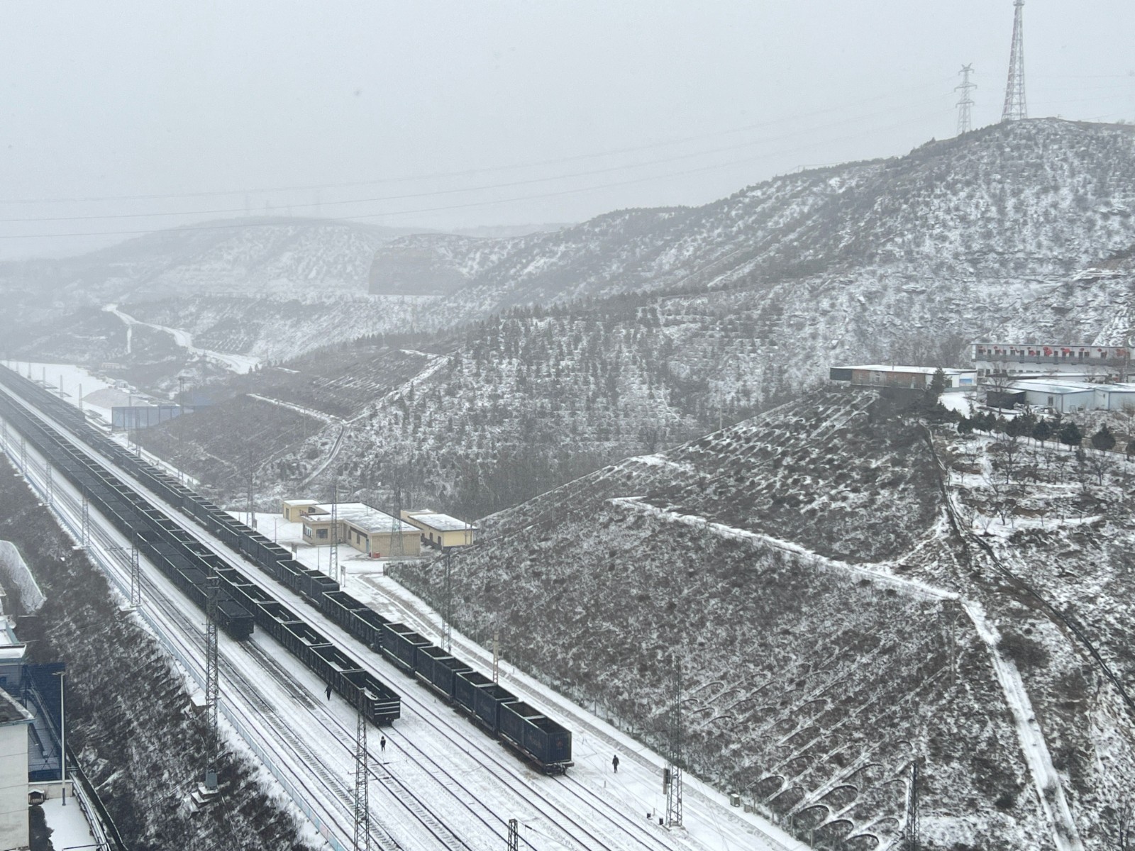 251737805334386142.jpeg a21ea3992413439c8dbda26d12b239c(1).jpg