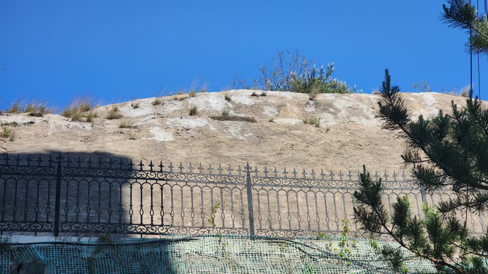 171747443057332722.jpeg d7837958e7679038847afae6ff0a1c1c.JPG