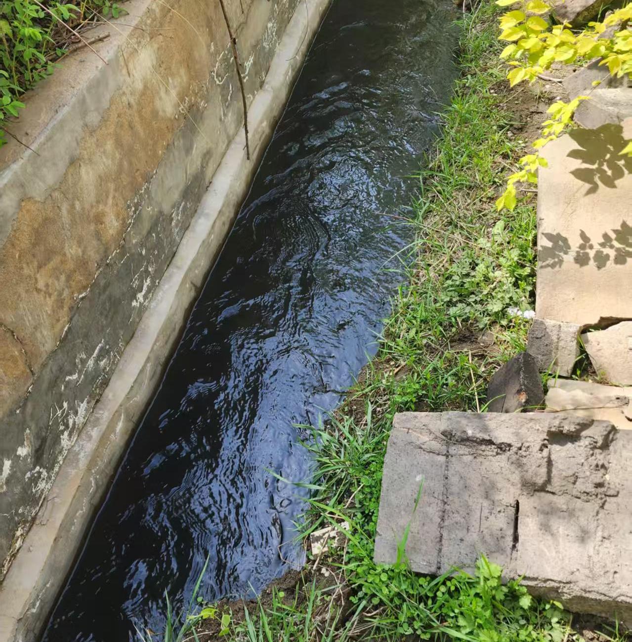 171747443073570773.jpeg cb62df666b8655120dc0fc269da67e0a.JPG