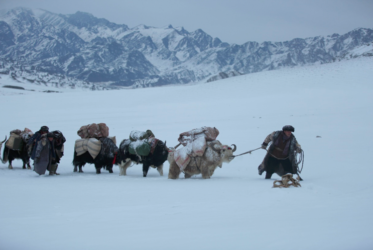 171750126203826563.png 6.17(花兒為啥那么紅).png