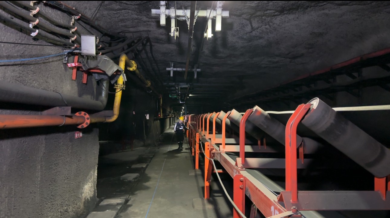 251756134311859985.jpeg 251756134311859985.jpeg