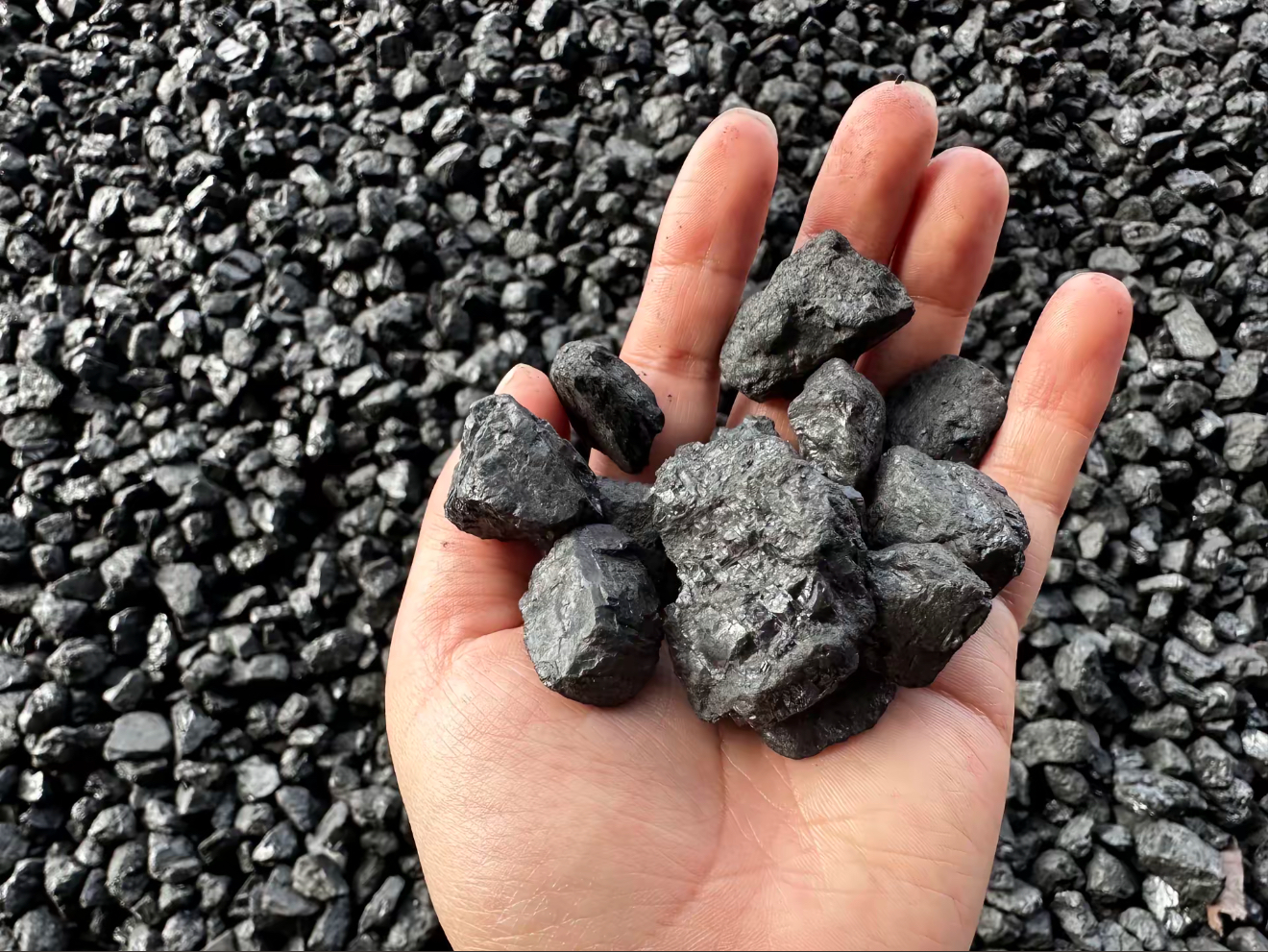 281756353211996158.jpeg cf92cea1ae7cf38bdcd5f48b4bd25642.png